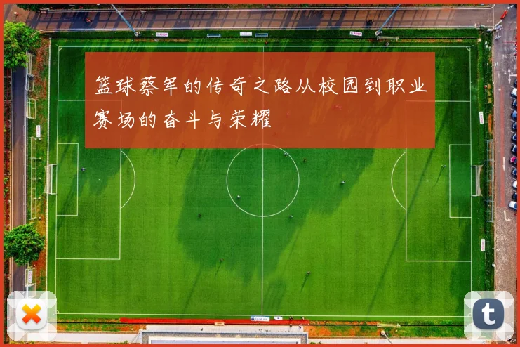篮球蔡军的传奇之路从校园到职业赛场的奋斗与荣耀